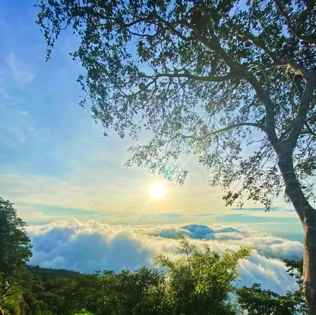 อุทยานแห่งชาติเขาพระวิหาร ผามออีแดง จ.ศรีสะเกษ