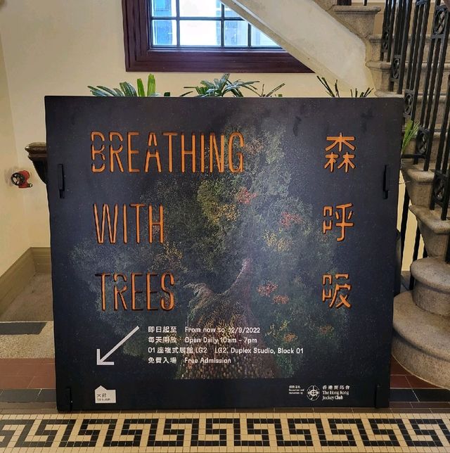 大館推出"森呼吸"展覽