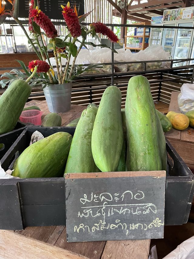 BN Farm ไร่บีเอ็น พืชผักผลไม้ ของท้องถิ่น