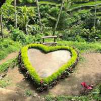 Experience at Tegallalang Rice Terraces
