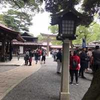 東京裡的聖地神宮⛩遼闊綠地森林一起來淨化心靈吧☺️