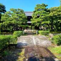 畳108畳ぶんの水墨画の双龍図が圧巻✨