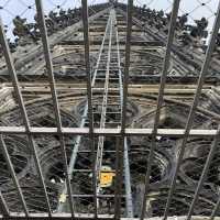 Amazing Cologne Cathedral 