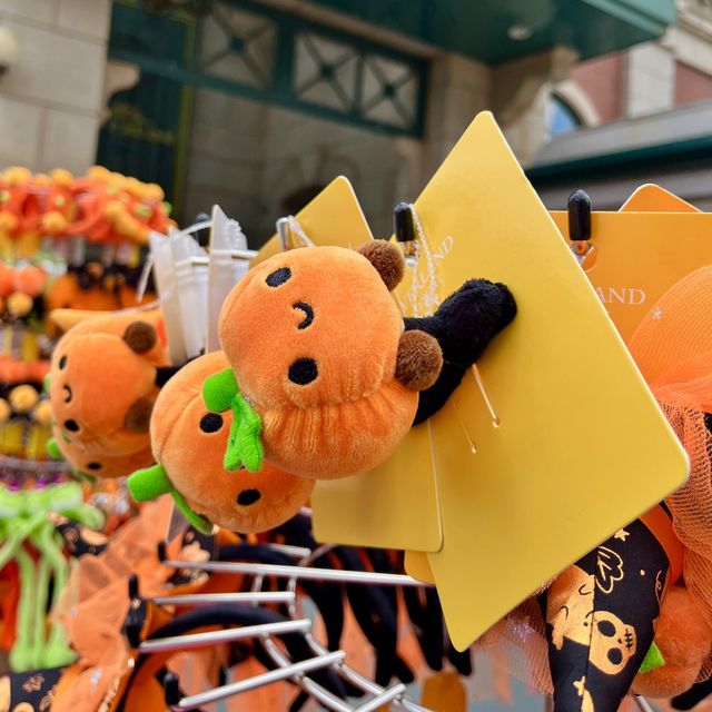 밤이 되면 좀비가 득실거리는 이곳(?) 에버랜드🧟‍♀️🎃
