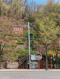 계양산성 ⛰️ 인천 피크닉 추천지