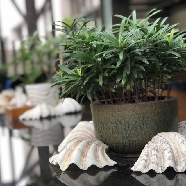 礁溪長榮鳳凰酒店//5樓SPA區&室外游泳池
