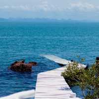 Rock View Terrace 
