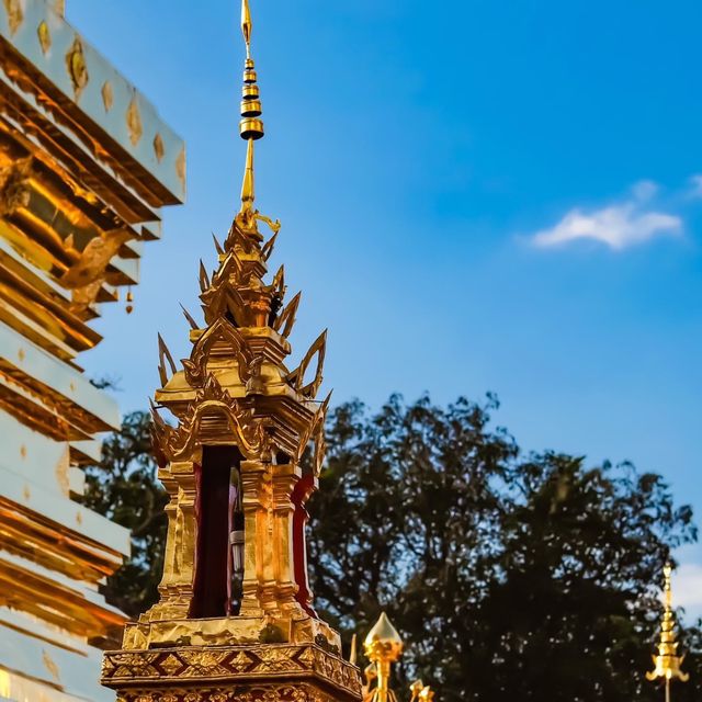 วัดพระธาตุดอยสุเทพวรมหาวิหาร 💐