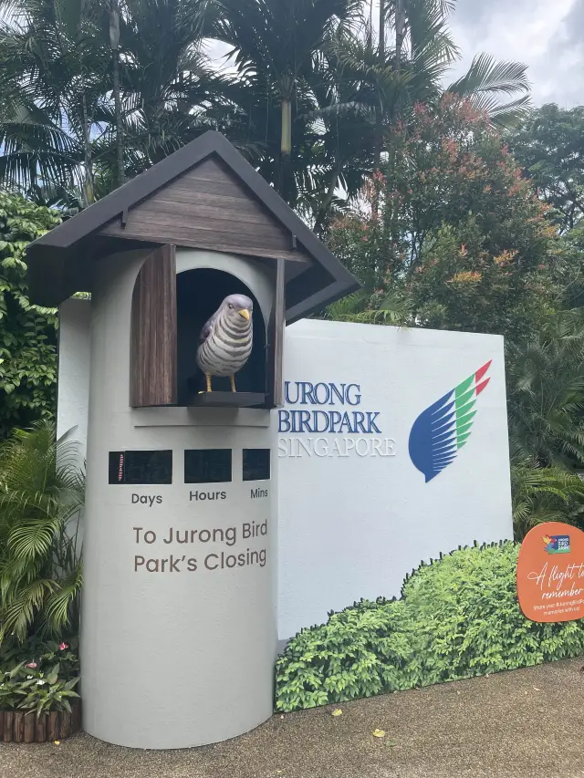 Jurong Bird Park🕊️🦚