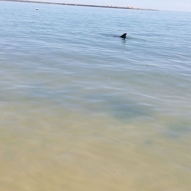 Bunbury Australia 
