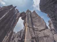 Stone Forest Geological Park@Kunming