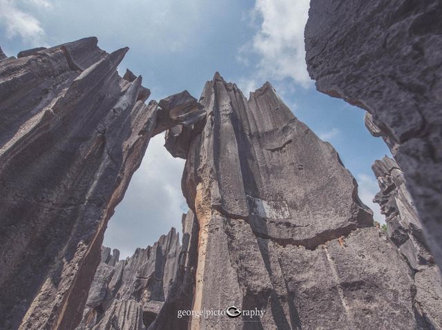 Stone Forest Geological Park@Kunming