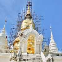กราบไหว้ขอพรพระเจ้าเก้าตื้อ |วัดสวนดอก | เชียงใหม่