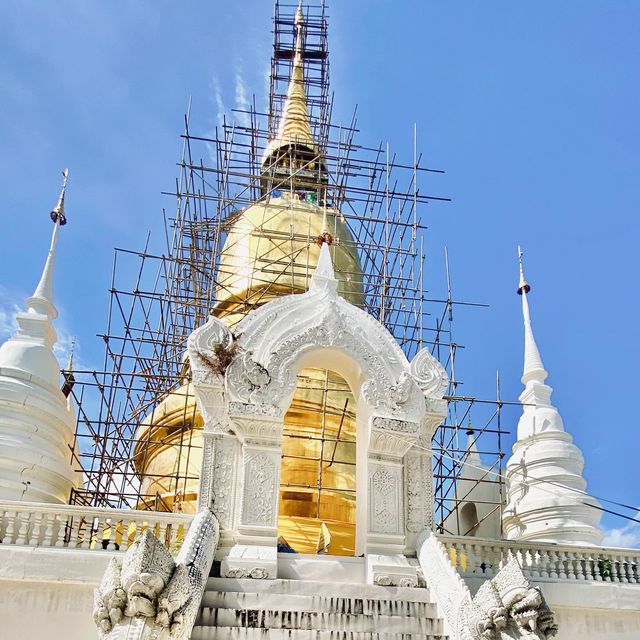 กราบไหว้ขอพรพระเจ้าเก้าตื้อ |วัดสวนดอก | เชียงใหม่