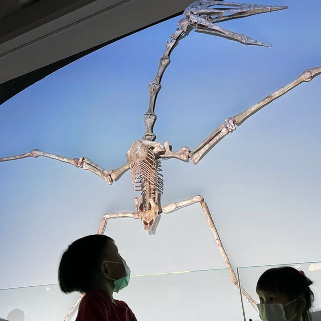探索恐龍的秘密，科學館之旅