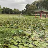 Bukit Lima Forest Park