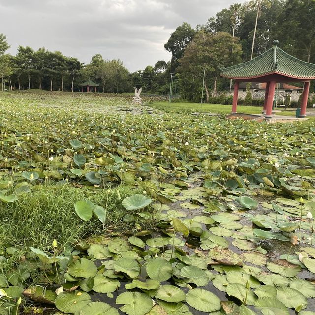 Bukit Lima Forest Park