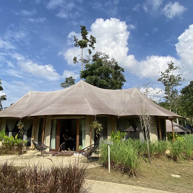 Glamping with Style at Tiarasa
