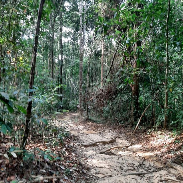 Dragon Mountain - Khao Ngon Nak - Krabi