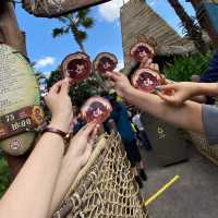 Shanghai Disneyland