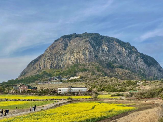 📍제주도 경치경관으러 최고인 산방산🏔