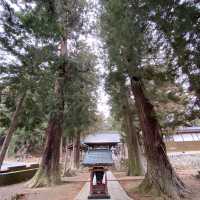 河口浅間神社の参道