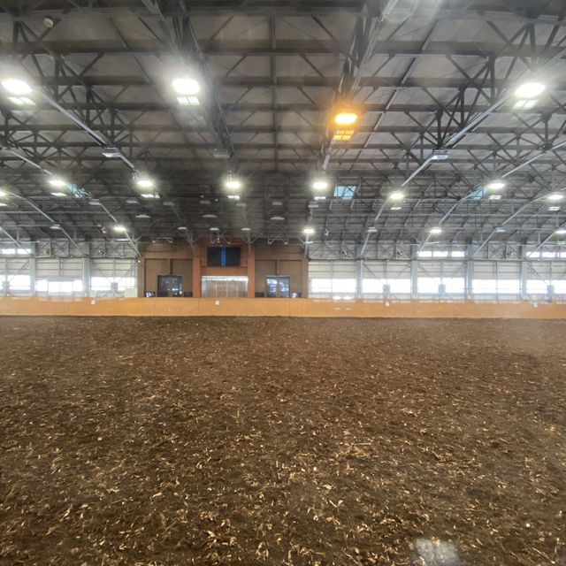 冬のインドア乗馬場