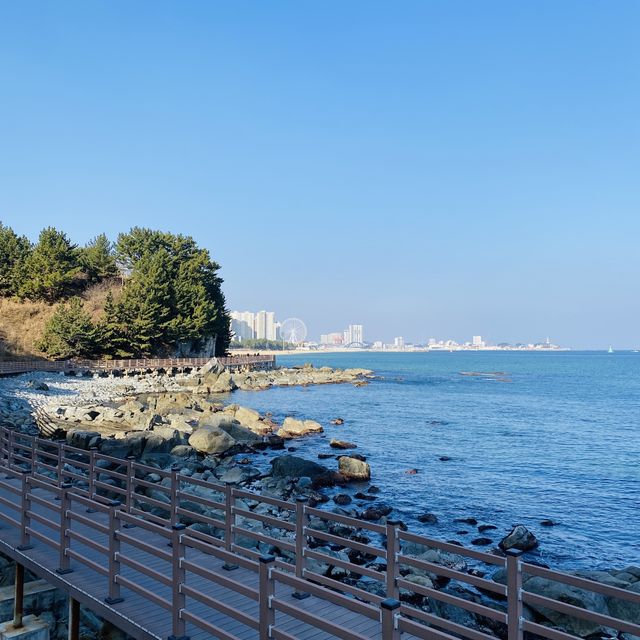 속초바다를 감싼 둘레길 바다향기로