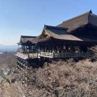 【抹茶好き必見！】京都・清水寺付近で絶品抹茶スイーツを堪能