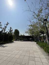 荔枝角公園放電 影相打卡 好去處🥰