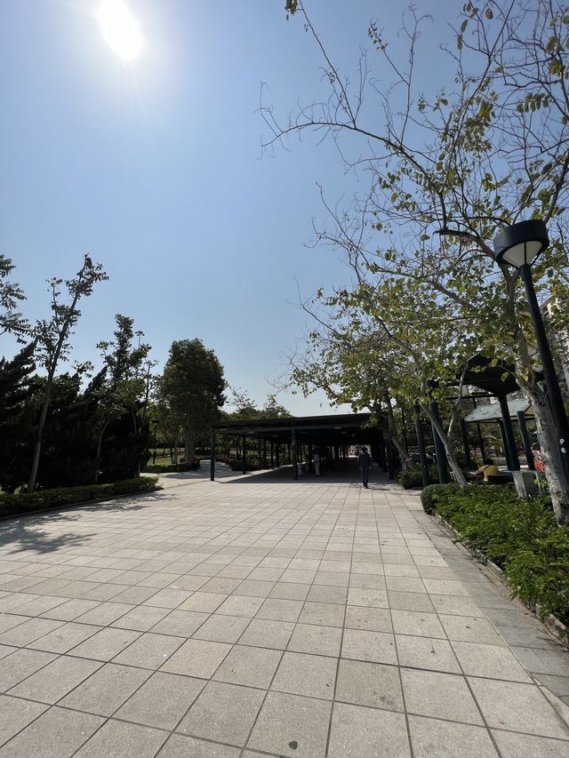 荔枝角公園放電 影相打卡 好去處🥰