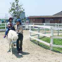 顛覆我們對動物園概念的地方