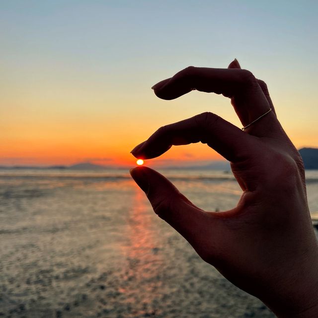일몰 보러 와온 갈래?🌅