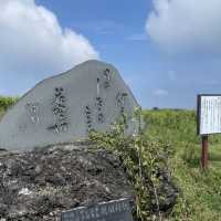 国指定の天然記念物 大室山