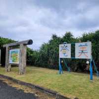 【奄美大島】あやまる岬公園