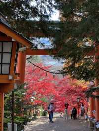 Best view of Mt Fuji with Autumn Foliage!