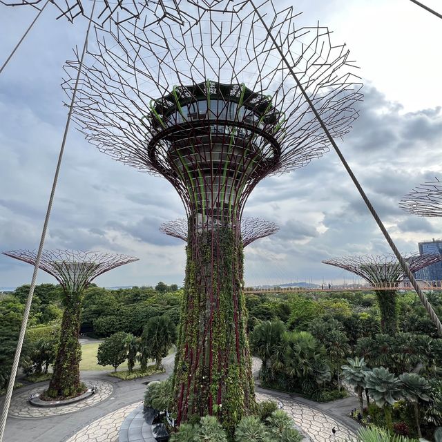 OCBC skyway