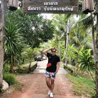 โครงการอัมพวาชัยพัฒนานุรักษ์🌿🌳  