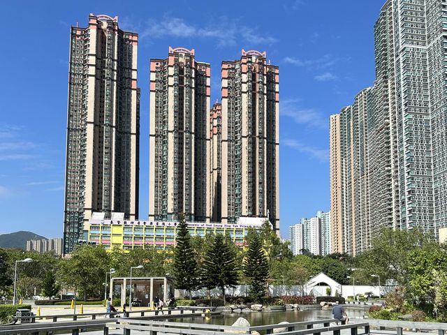 本地遊 | 將軍澳賞花路線 | 由文曲里經海濱走到康城