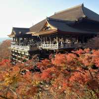 Get the right time and weather @Kiyomizu-dera