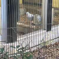 何度行っても楽しめる！無料の動物園♪