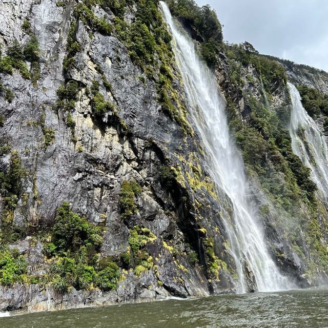 NZ 紐西蘭 南島 米佛峽灣 Milford Sound