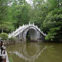 深圳至抵玩植物園