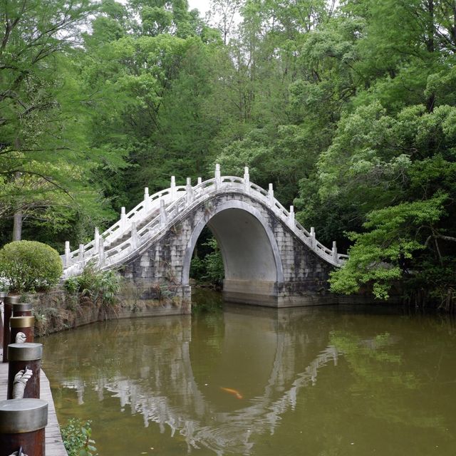 深圳至抵玩植物園