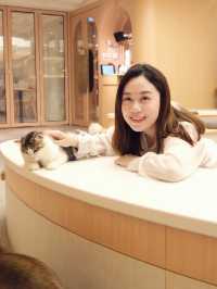 荔枝角全新貓cafe! 貓奴天堂🐈🐱