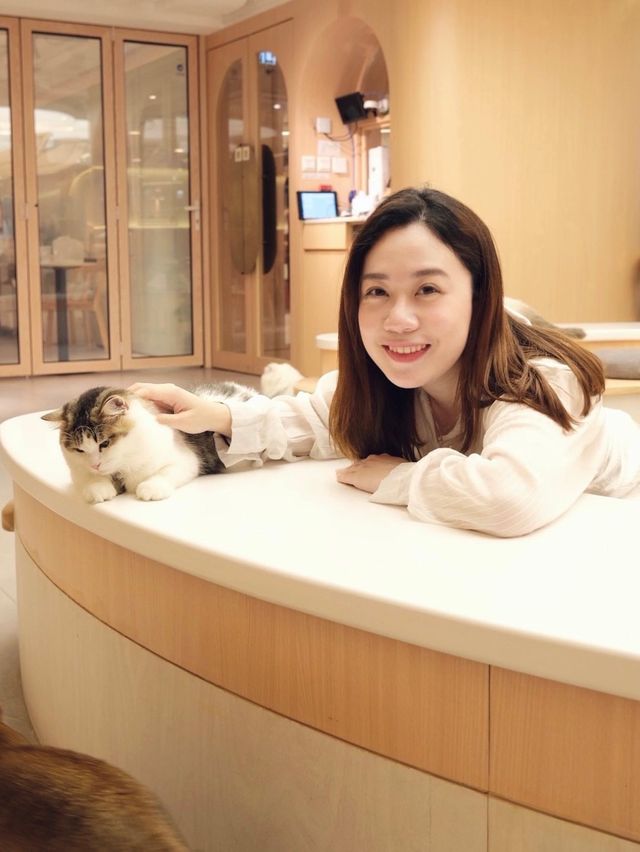 荔枝角全新貓cafe! 貓奴天堂🐈🐱 荔枝角全新貓cafe! 貓奴天堂🐈🐱