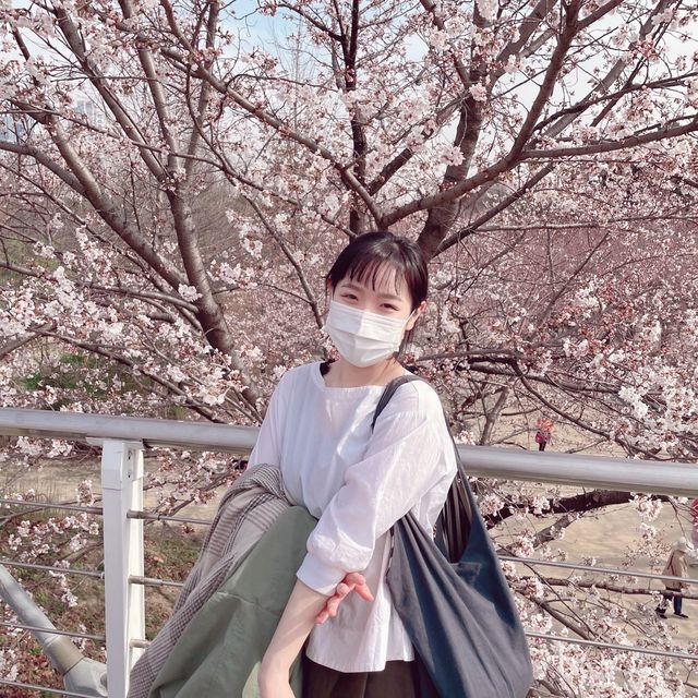 서울숲 벚꽃 구경