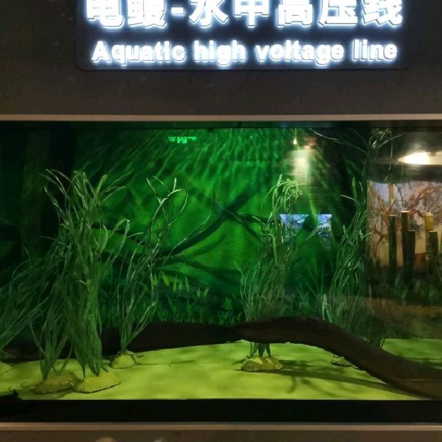 Shanghai Pudong  Aquarium