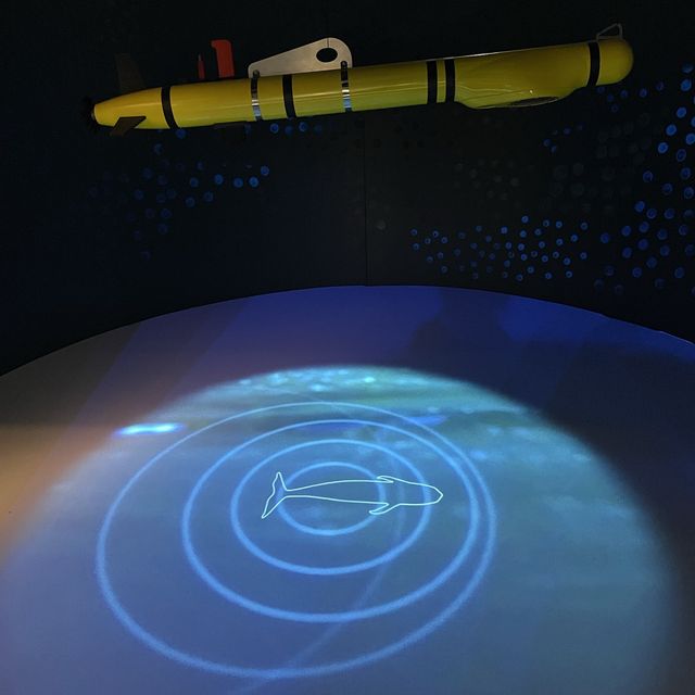 Chongqing Science and Technology museum 