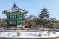 서울 겨울 여행 "경복궁 설경"